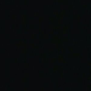 Meet your Posher, Shelby