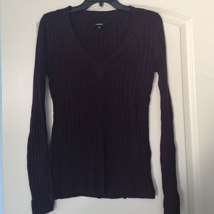 Express, plum knitted sweater. Medium