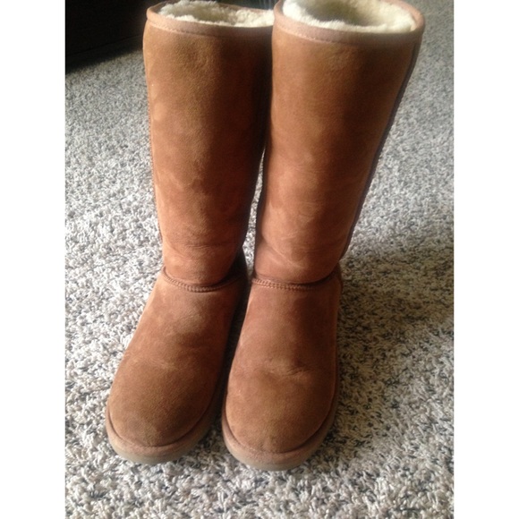 Tall chestnut uggs