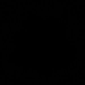 Meet your Posher, Roberto