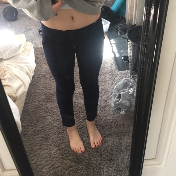 Dress Pants