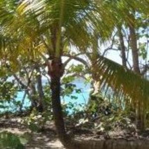 Meet your Posher, Christy