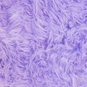 Meet your Posher, Cassidy