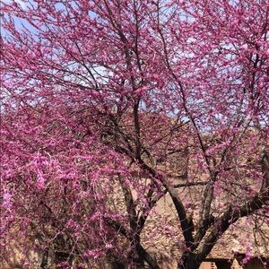 Meet your Posher, Aisha