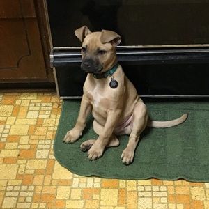 Meet your Posher, Gina