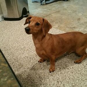 Meet your Posher, Joan