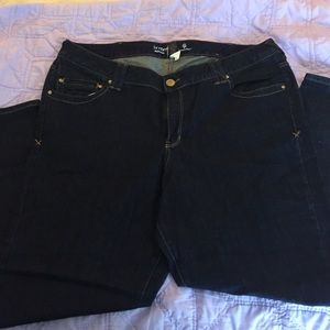 Lane Bryant Genius Fit Jeans