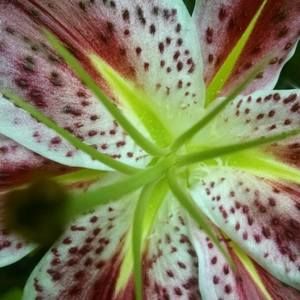 Meet your Posher, Katrina