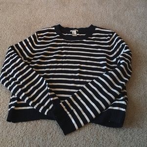 Forever 21 Blue Striped Cropped Sweater