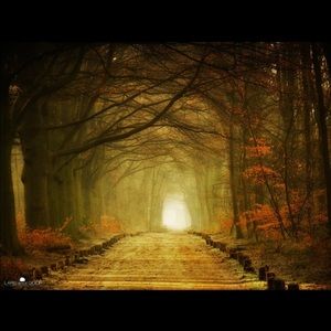 Meet your Posher, Ola