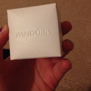 Pandora charm box