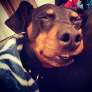 Meet your Posher, Dawn