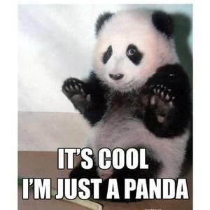 Meet your Posher, Tim