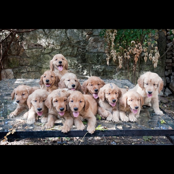 Top-rated seller. Fast shipper! - Picture 3 of 3