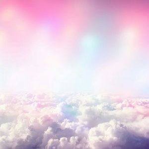 Meet your Posher, Loretta