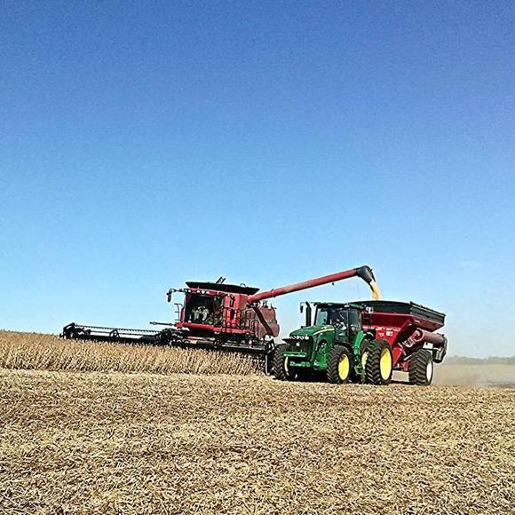 Meet your Posher, Riley - Picture 1 of 1