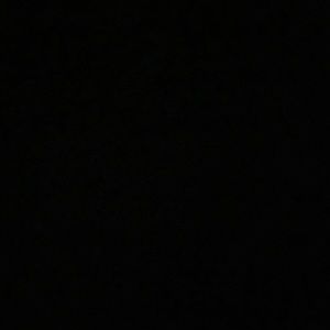 Meet your Posher, Cheyenne