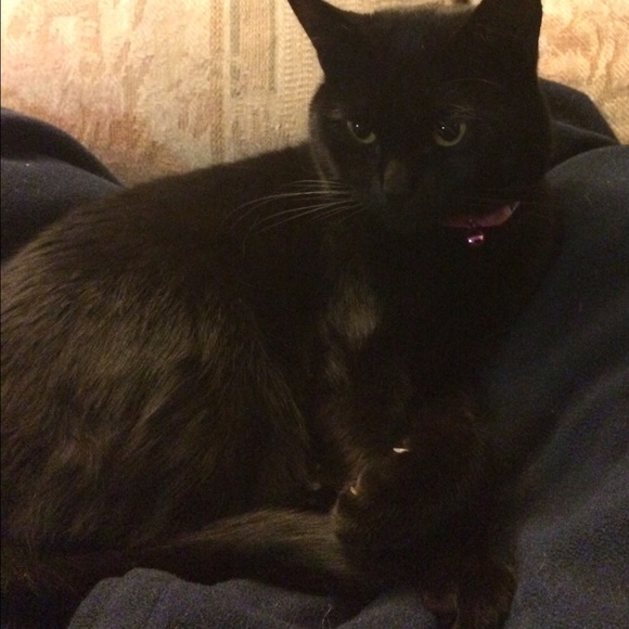 Meet your Posher, Sandra.   ALL OFFERS CONSIDERED! - Picture 2 of 4