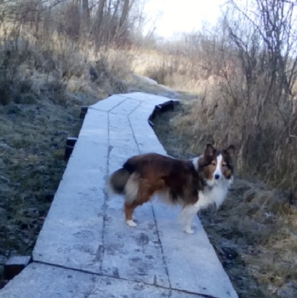 Meet your Posher, Cathniss - Picture 1 of 1