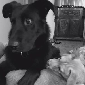 Meet your Posher, Ashlee