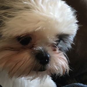 Meet your Posher, Cathy