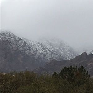 Meet your Posher, Elena