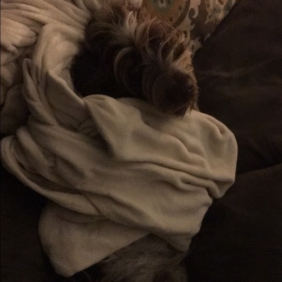 Meet your Posher, Kelly - Picture 1 of 1