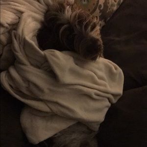 Meet your Posher, Kelly