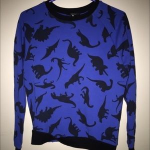 Dinosaur sweater