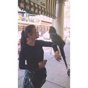 Meet your Posher, Sydney