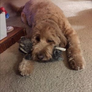 Meet your Posher, Jordan