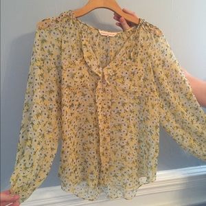 Rebecca Taylor, long sleeve sheer blouse.