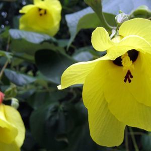 Meet your Posher, Katharine