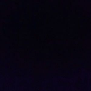 Meet your Posher, Josie