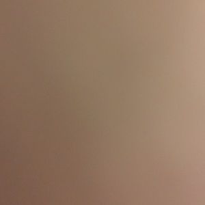 Meet your Posher, Briana