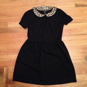 Leopard Peter Pan collar black dress
