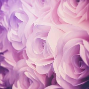 Meet your Posher, Carla