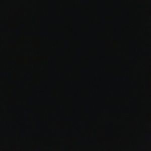 Meet your Posher, Lulu