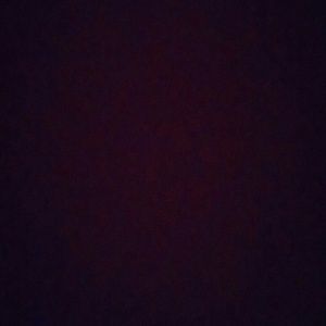 Meet your Posher, Bailey