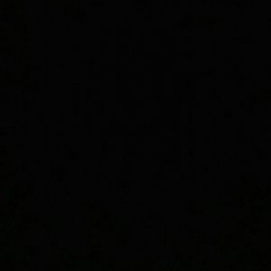 Meet your Posher, Iris