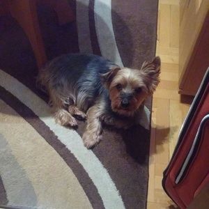 Meet your Posher, Iwona