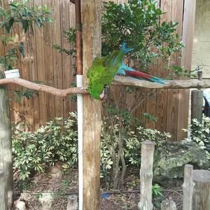 Meet your Posher, Samuel