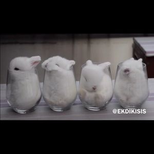 Meet your Posher, Apryll