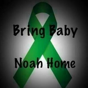 Meet your Posher, Misty