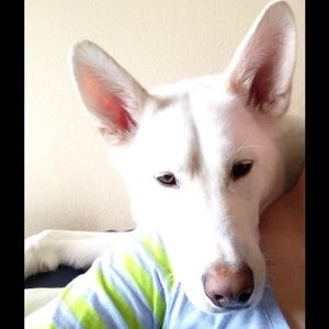 Meet your Posher, Pamela