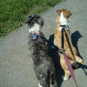 Meet your Posher, Latoya