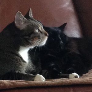 Meet your Posher, Nick