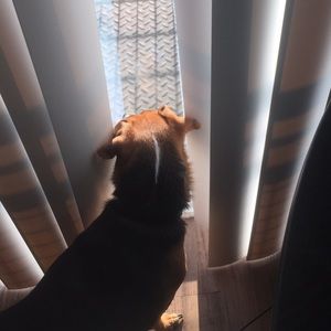 Meet your Posher, Renee