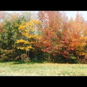 Meet your Posher, Rossy