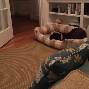 Meet your Posher, Anne